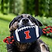 Show in main carousel: Pets First Nylon Football Tough Squeaky Dog Chew Toy, Illinois slide 2 of 6