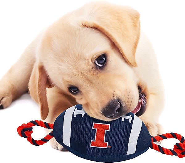 Show full view: Pets First Nylon Football Tough Squeaky Dog Chew Toy, Illinois slide 3 of 6