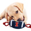 Show in main carousel: Pets First Nylon Football Tough Squeaky Dog Chew Toy, Illinois slide 3 of 6