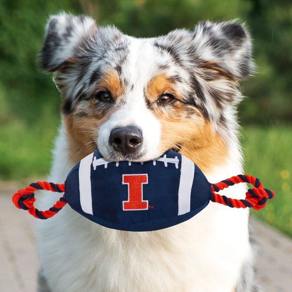 Show full view: Pets First Nylon Football Tough Squeaky Dog Chew Toy, Illinois slide 4 of 6