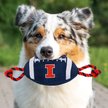 Show in main carousel: Pets First Nylon Football Tough Squeaky Dog Chew Toy, Illinois slide 4 of 6
