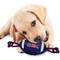 Show in main carousel: Pets First Nylon Football Tough Squeaky Dog Chew Toy, Ole Miss slide 4 of 7