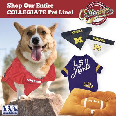 Show full view: Pets First Nylon Football Tough Squeaky Dog Chew Toy, Ole Miss slide 6 of 7