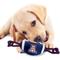 Show in main carousel: Pets First Nylon Football Tough Squeaky Dog Chew Toy, University of Arizona slide 4 of 7