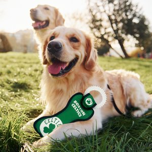 Pets First Squeaky Dental Dog Ring Toy, Boston Celtics