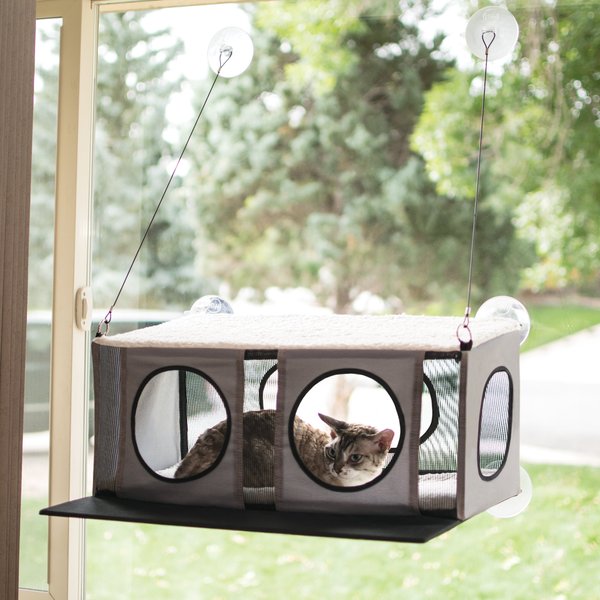 Chewy cat window perch sale