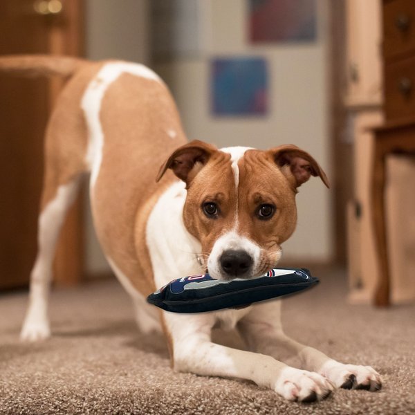 Show full view: Pets First Player Tough Squeaky Dog Chew Toy, New England Patriots slide 4 of 6