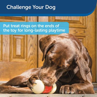 Show full view: PetSafe Busy Buddy Nobbly Nubbly Treat Dispensing Tough Dog Chew Toy, Large, Orange slide 6 of 10