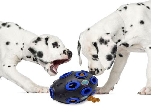 Show full view: Pets First Tough Treat Dispenser Dog Toy, Florida slide 4 of 6