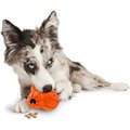 PetSafe Busy Buddy Barnacle Treat Dispenser Dog Toy, Medium