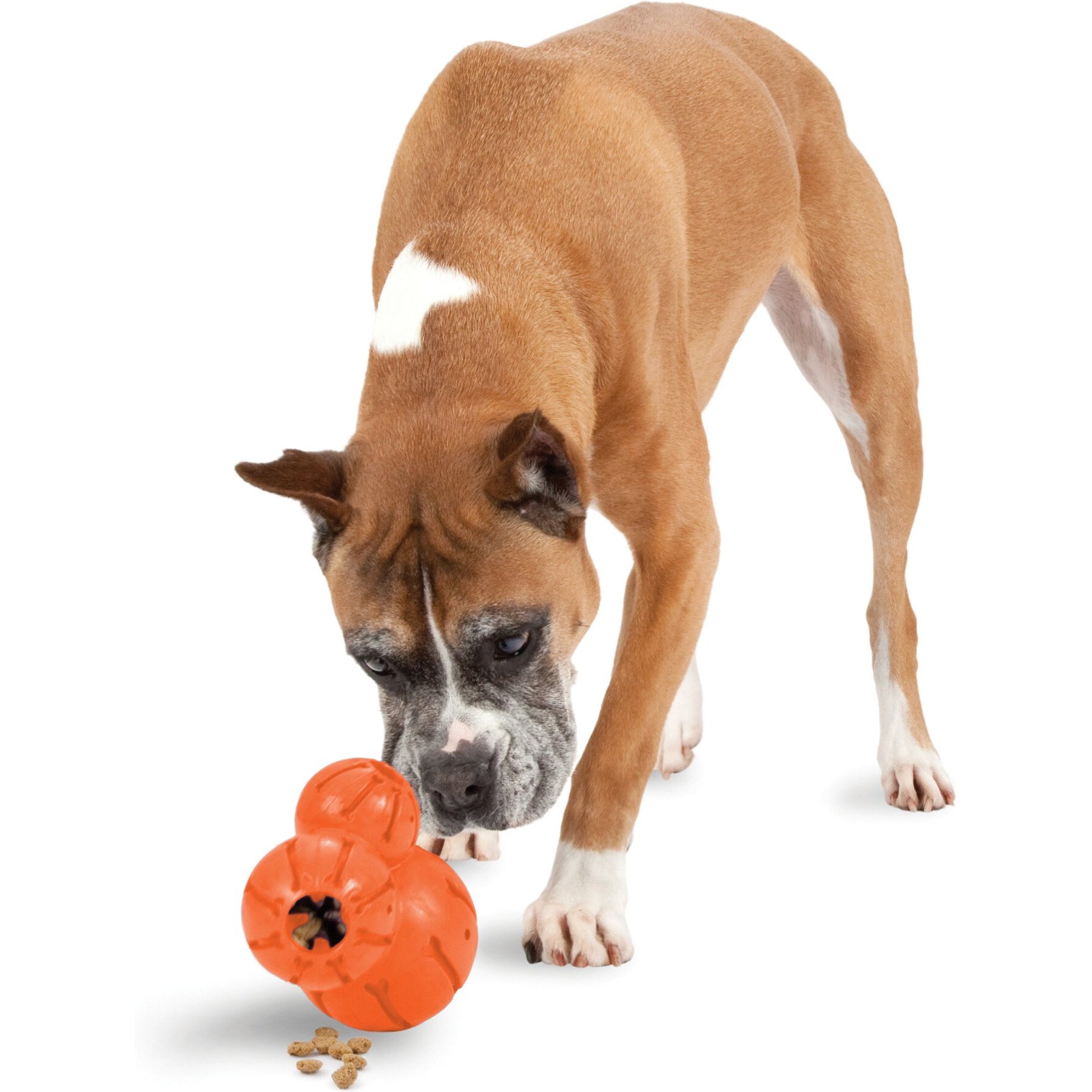 PetSafe Busy Buddy BOUNCY BONE Dog Toy Treat and Chew Small
