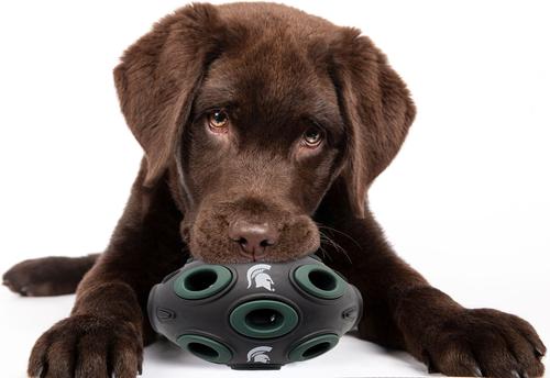 Show full view: Pets First Tough Treat Dispenser Dog Toy, Michigan State slide 3 of 6