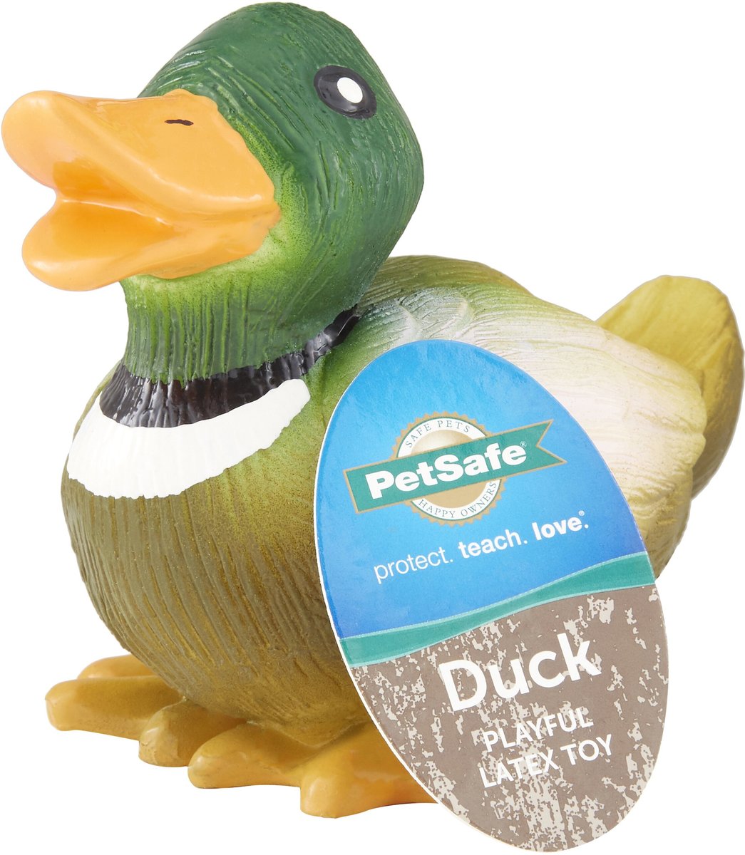 "PetSafe Busy Buddy Squeeze Meeze Latex Ladybug Dog Toy"