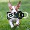 Show in main carousel: Pets First Squeaky Dental Dog Tug Toy, Green Bay Packers slide 3 of 7