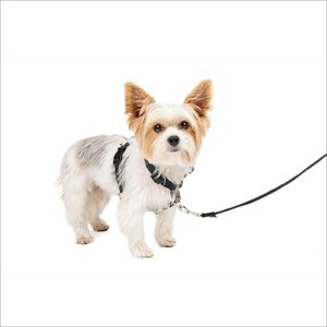 PetSafe 3-in-1 Reflective Dog Harness with Car Control Strap, Black, X-Small: 13 to 19-in chest
