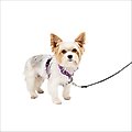 PetSafe 3-in-1 Reflective Dog Harness with Car Control Strap, Plum, X-Small: 13 to 19-in chest