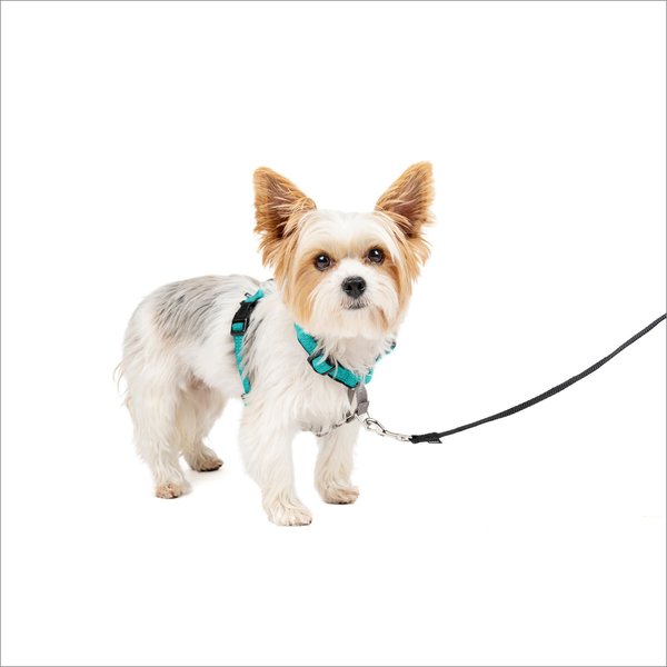 PetSafe 3-in-1 Reflective Dog Harness with Car Control Strap, Teal, X-Small: 13 to 19-in chest slide 1 of 12