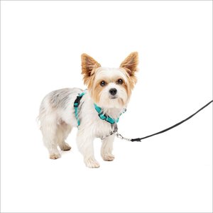 PetSafe 3-in-1 Reflective Dog Harness with Car Control Strap, Teal, X-Small: 13 to 19-in chest