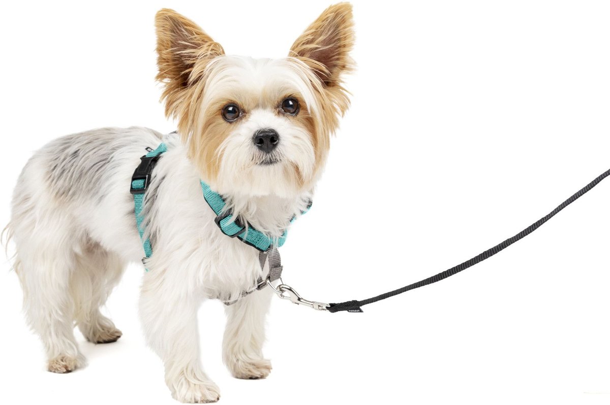 HALTI No Pull Harness - to Stop Your Dog Pulling on The Leash. Adjustable,  Lightweight and Easy to Use. Reflective Dog Training Harness for Large Dogs