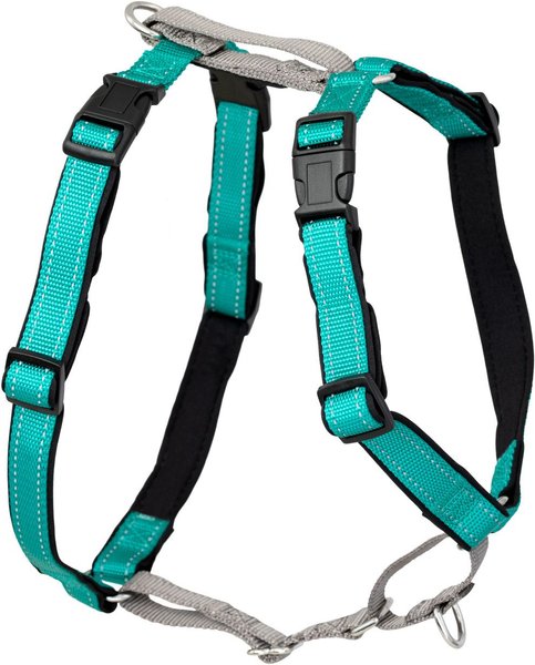 PETSAFE 3 in 1 Reflective Dog Harness with Car Control Strap Teal X Small 13 to 19 in chest Chewy