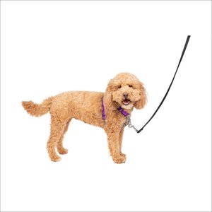 PetSafe 3-in-1 Reflective Dog Harness with Car Control Strap, Plum, Small: 19 to 24-in chest