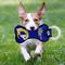 Show in main carousel: Pets First Squeaky Dental Dog Tug Toy, Los Angeles Rams slide 2 of 6