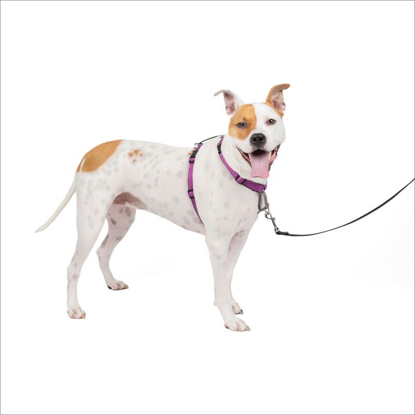 PetSafe 3-in-1 Reflective Dog Harness with Car Control Strap, Plum, Medium: 24 to 34-in chest slide 1 of 12
