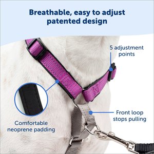 PetSafe 3-in-1 Reflective Dog Harness with Car Control Strap, Plum, Medium: 24 to 34-in chest