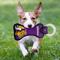 Show in main carousel: Pets First Squeaky Dental Dog Tug Toy, Minnesota Vikings slide 2 of 6
