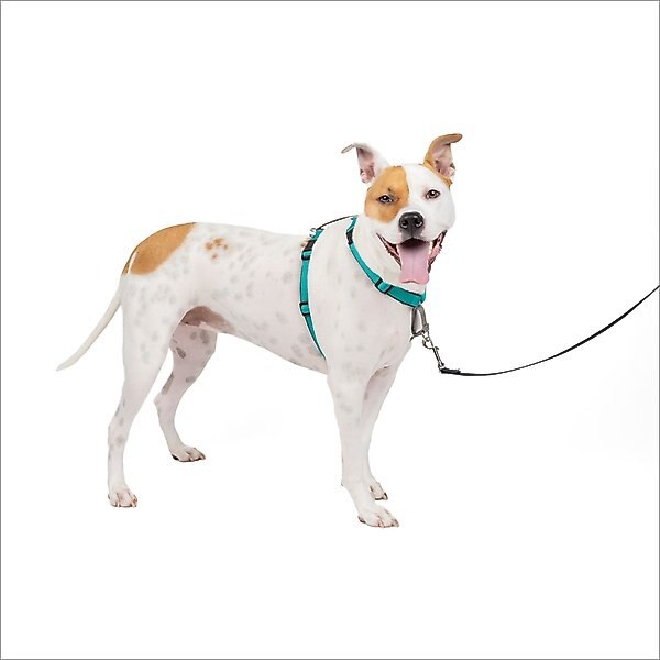 PetSafe 3-in-1 Reflective Dog Harness with Car Control Strap, Teal, Medium: 24 to 34-in chest slide 1 of 12