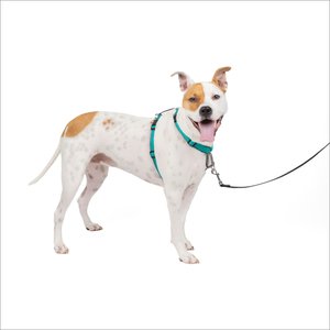 PetSafe 3-in-1 Reflective Dog Harness with Car Control Strap, Teal, Medium: 24 to 34-in chest