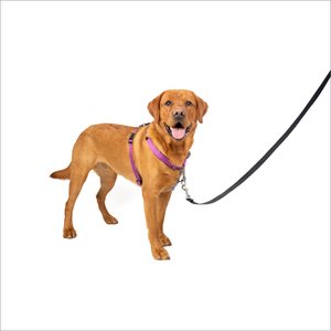 PetSafe 3-in-1 Reflective Dog Harness with Car Control Strap, Plum, Large: 29.5 to 42.5-in chest