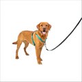 PetSafe 3-in-1 Reflective Dog Harness with Car Control Strap, Teal, Large: 29.5 to 42.5-in chest