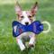 Show in main carousel: Pets First Squeaky Dental Dog Tug Toy, New York Rangers slide 3 of 7