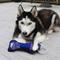Show in main carousel: Pets First Squeaky Dental Dog Tug Toy, New York Rangers slide 4 of 7