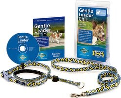 PetSafe Gentle Leader Chic Padded Dog Headcollar & Leash, Bonez, Small: 7 to 15-in neck slide 2 of 5