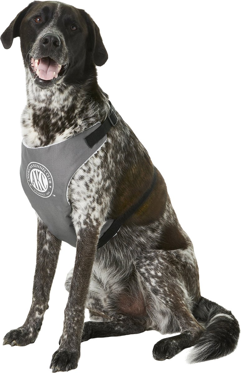 Akc store dog harness