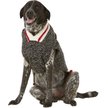 Chilly Dog Boyfriend Dog & Cat Scarf