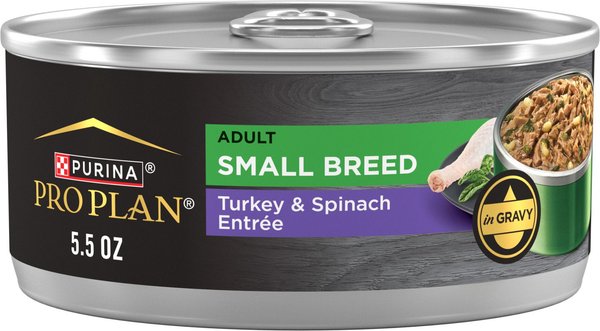 Purina Pro Plan Adult Small Breed High-Protein Turkey & Spinach Entree in Gravy Shredded Wet Dog Food, 5.5-oz can, case of 24