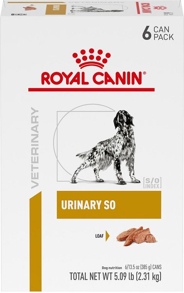 Royal Canin Veterinary Diet Urinary SO Loaf Pate Adult Wet Dog Food 13.5 oz can case of 24