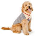 Chilly Dog Spencer Striped Dog & Cat Sweater, Small