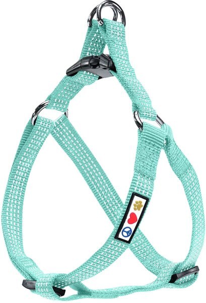 Pawtitas Nylon Reflective Step In Back Clip Dog Harness, Teal, Small: 15 to 22-in chest slide 1 of 8