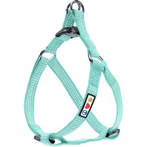 Pawtitas Nylon Reflective Step In Back Clip Dog Harness, Teal, Small: 15 to 22-in chest