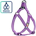 Pawtitas Nylon Reflective Step In Back Clip Dog Harness, Purple Orchid, Medium: 20 to 28-in chest