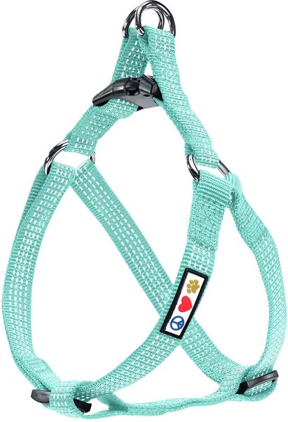 Pawtitas Nylon Reflective Step In Back Clip Dog Harness, Teal, Large: 24 to 33-in chest slide 1 of 8