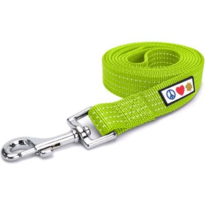 Pawtitas Nylon Reflective Dog Leash, Green, X-Small/Small: 6-ft long, 5/8-in wide