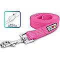 Pawtitas Nylon Reflective Dog Leash, Pink, X-Small/Small: 6-ft long, 5/8-in wide