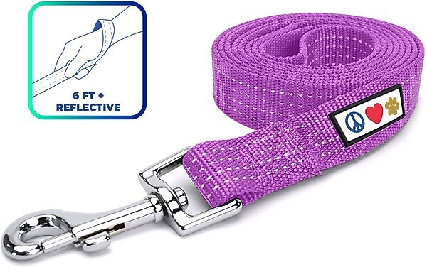 Pawtitas Nylon Reflective Dog Leash, Purple Orchid, X-Small/Small: 6-ft long, 5/8-in wide slide 1 of 8