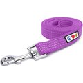 Pawtitas Nylon Reflective Dog Leash, Purple Orchid, X-Small/Small: 6-ft long, 5/8-in wide