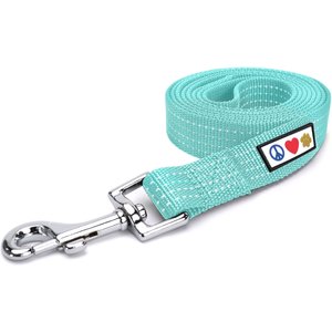Pawtitas Nylon Reflective Dog Leash, Teal, X-Small/Small: 6-ft long, 5/8-in wide